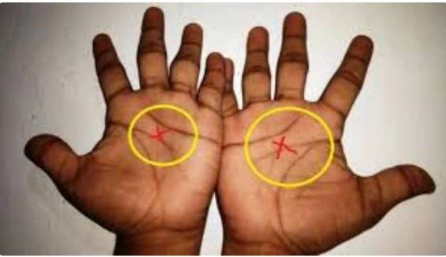 Sobanukirwa byinshi ku mirongo iri mu kiganza cyawe ndetse n'icyo ivuze ku buzima bwawe bw'ahazaza