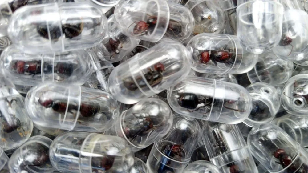 Ibimonyo byabaye imari