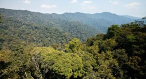 Burundi: Urujijo ku rupfu rw’Abarwanyi 201 bari guhabwa imyitozo idasanzwe yo kugaba ibitero ku Rwanda