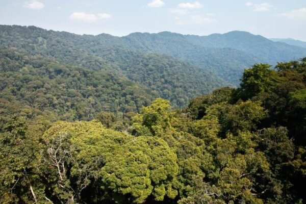 Burundi: Urujijo ku rupfu rw’Abarwanyi 201 bari guhabwa imyitozo idasanzwe yo kugaba ibitero ku Rwanda