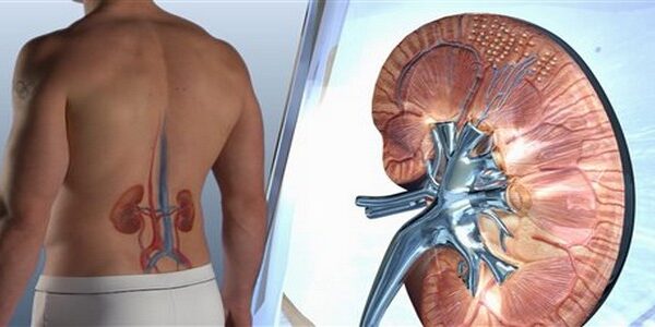 Ujya ubyimba ibirenge, umunaniro cyangwa kumva ukonje cyane mu mubiri? Menya ibimenyetso 10 byakwereka ko urwaye impyiko